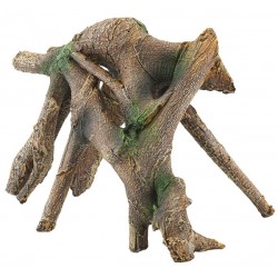 Mangrove Root Median Mangrove Root Median
